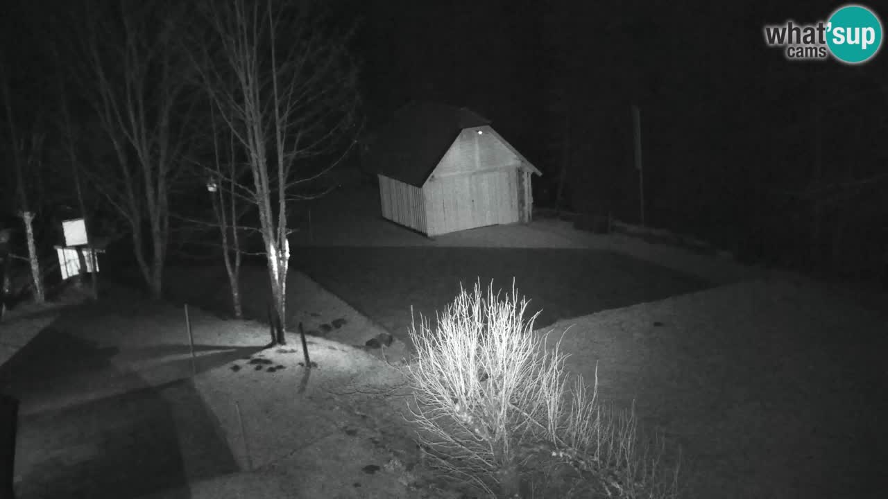 Webcam Lukanja – Pohorje houses a Water village