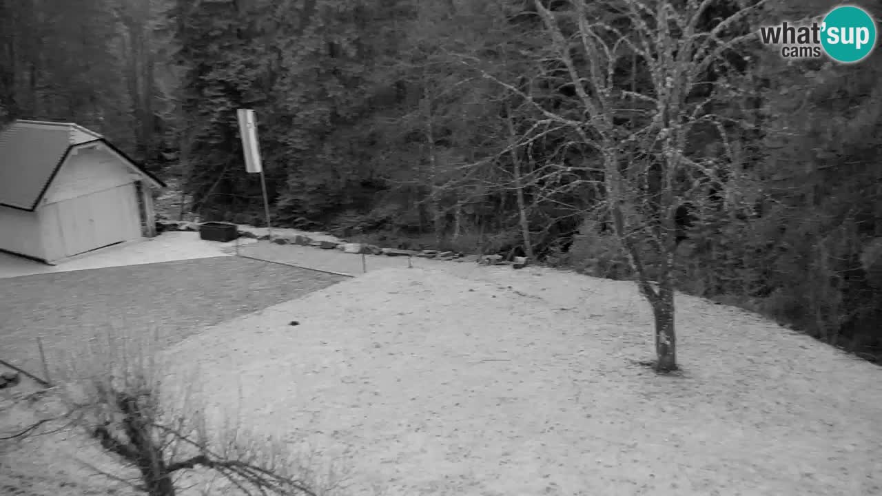 Webcam Lukanja – Water Village | Pohorje Houses