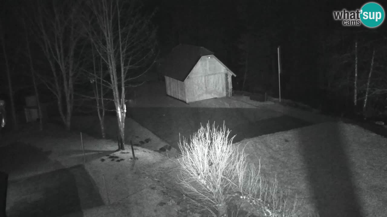 Web kamera Lukanja – Water Village | Pohorje Houses