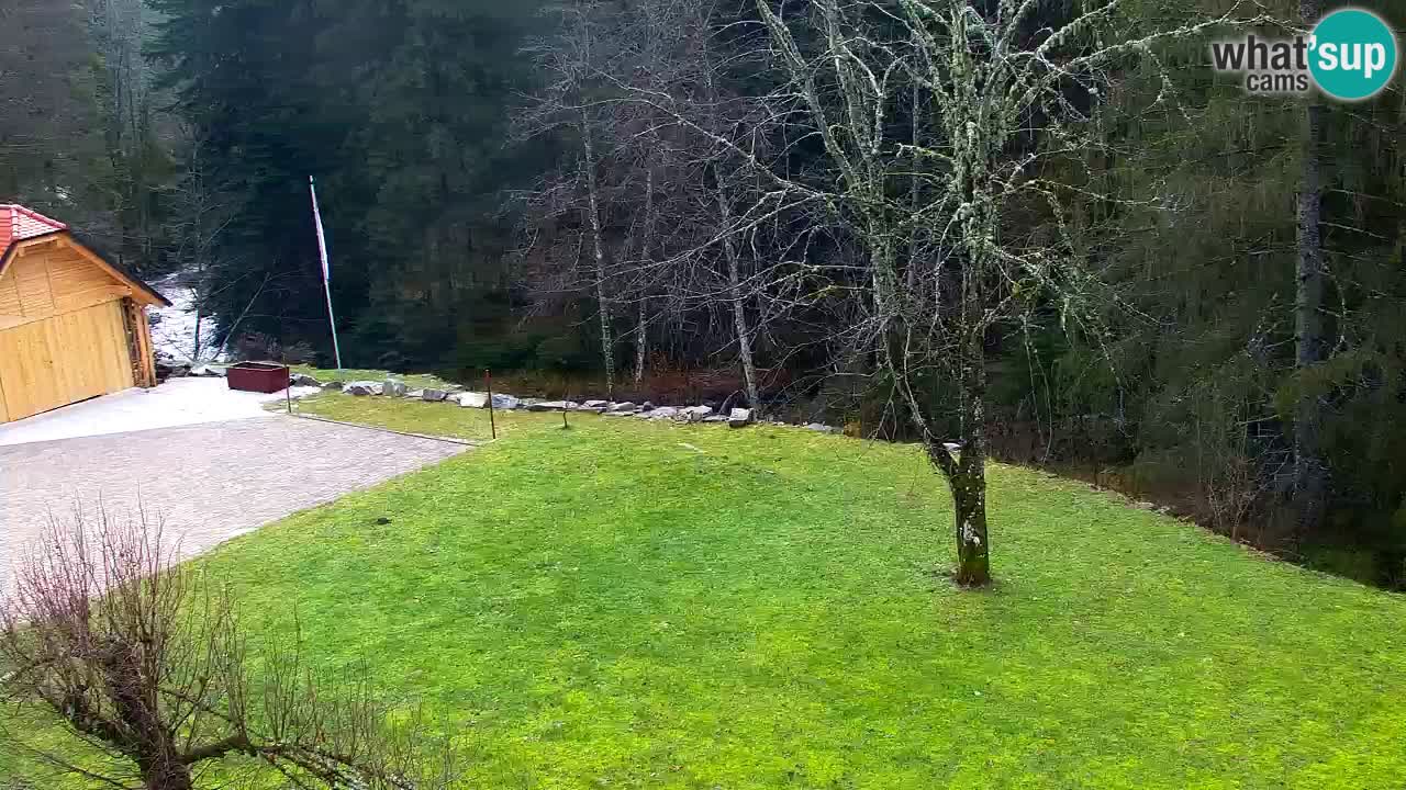 Webcam Lukanja – Water Village | Pohorje Houses