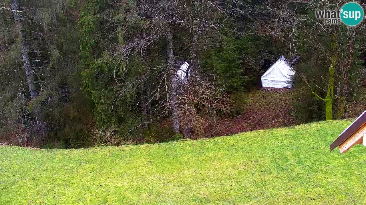 Webcam Lukanja – Pohorje houses a Water village