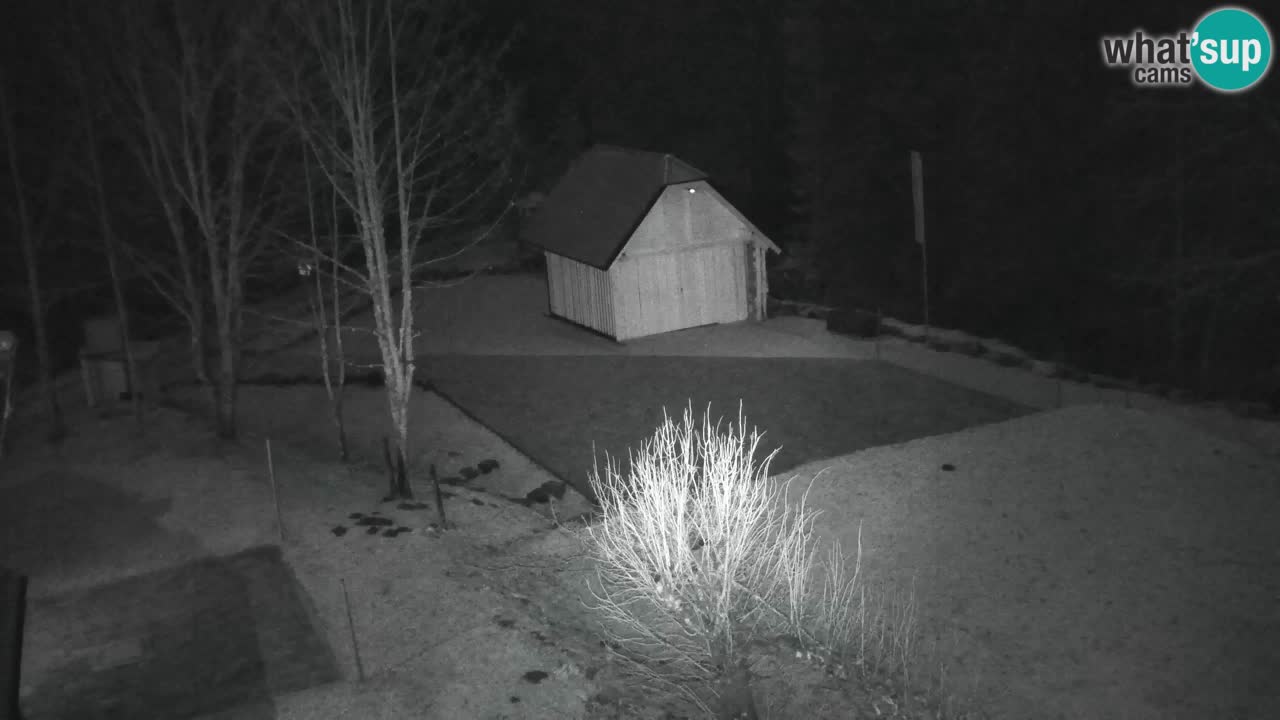 Webcam Lukanja – Water Village | Pohorje Houses