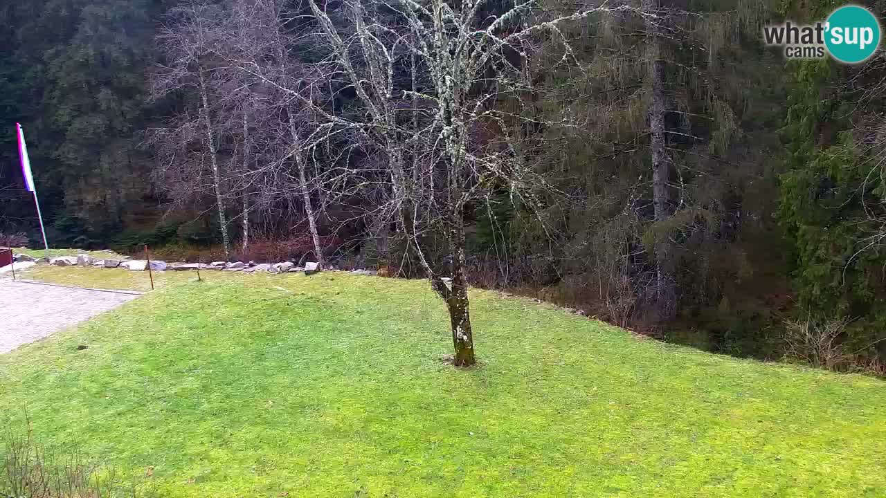 Webcam Lukanja – Water Village | Pohorje Houses