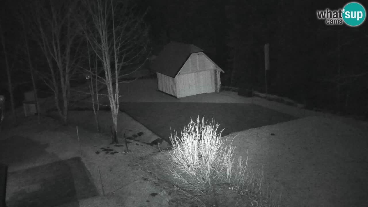 Webcam Lukanja – Pohorje houses a Water village