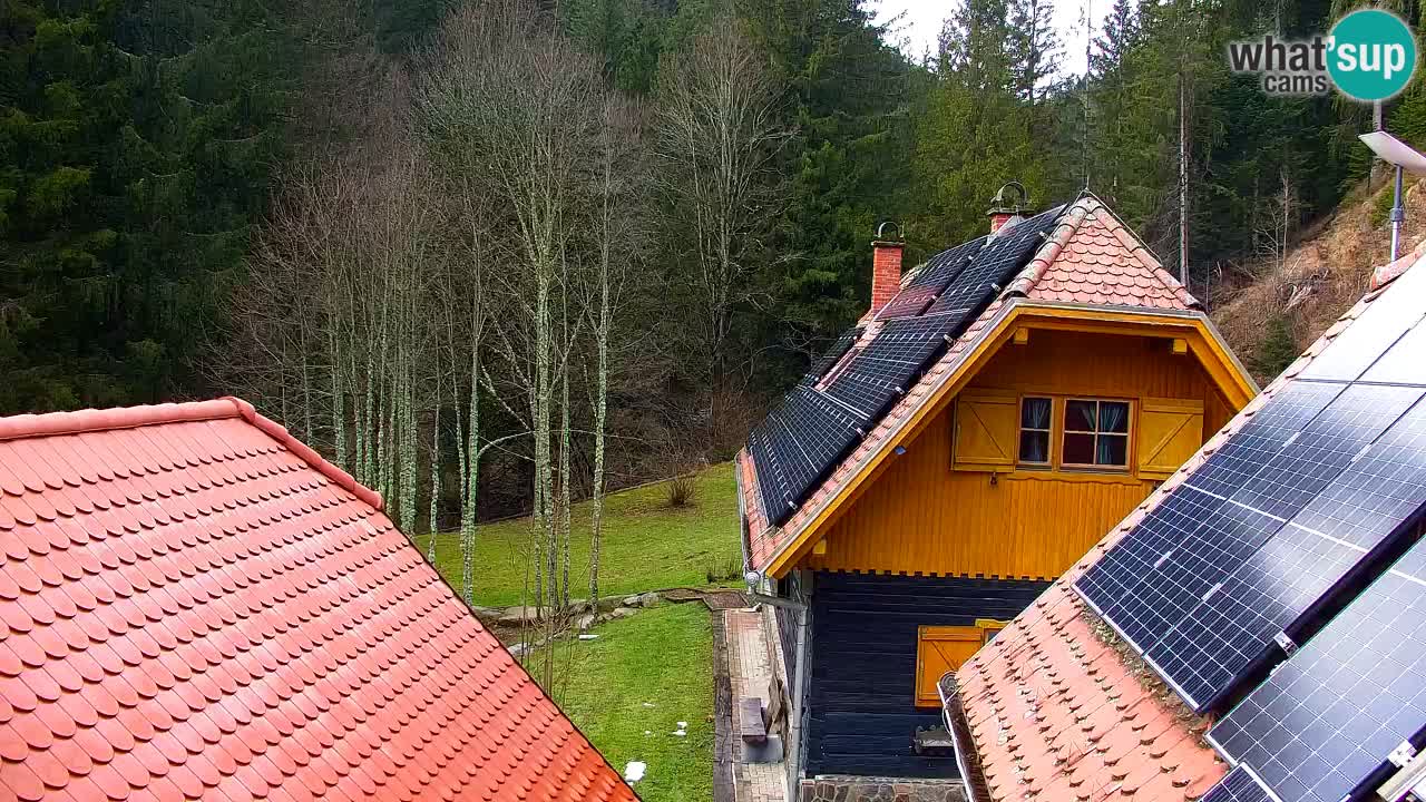 Webcam Lukanja – Water Village | Pohorje Houses