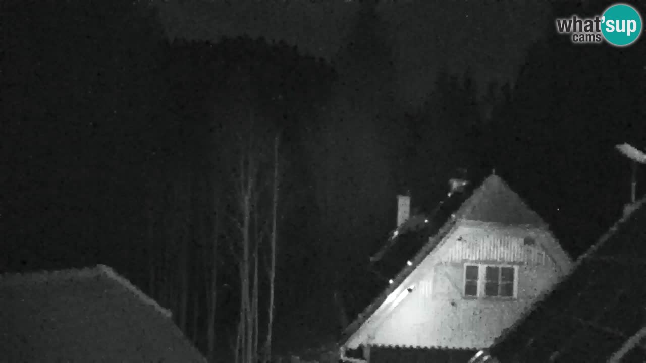 Webcam Lukanja – Pohorje houses a Water village