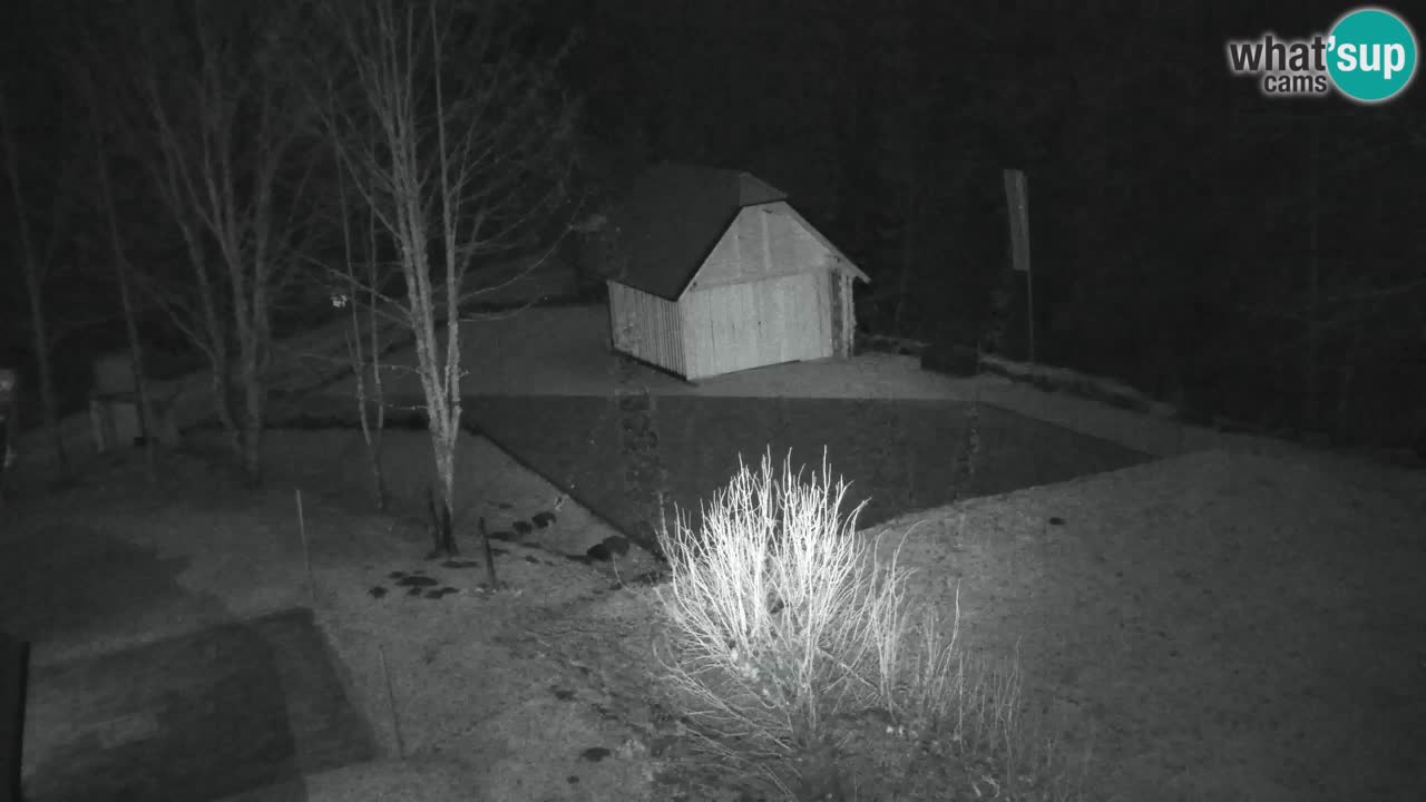 Webcam Lukanja – Pohorje houses a Water village