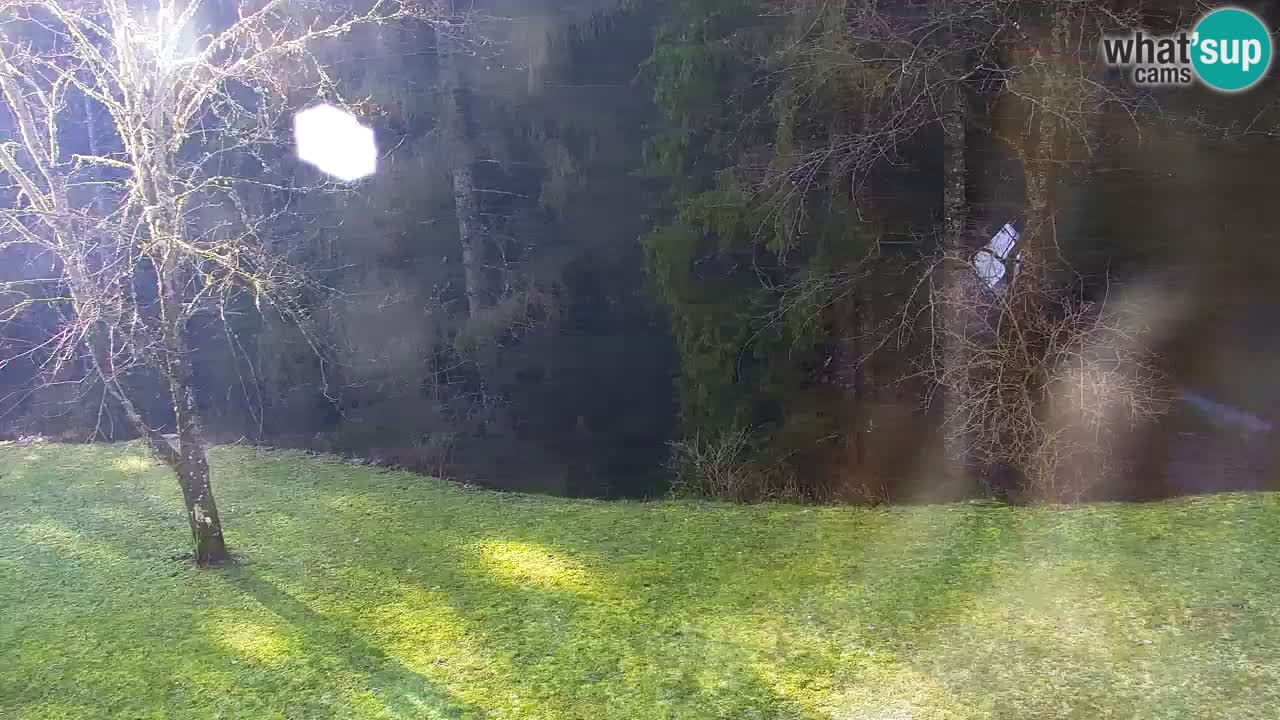 Webcam Lukanja – Water Village | Pohorje Houses