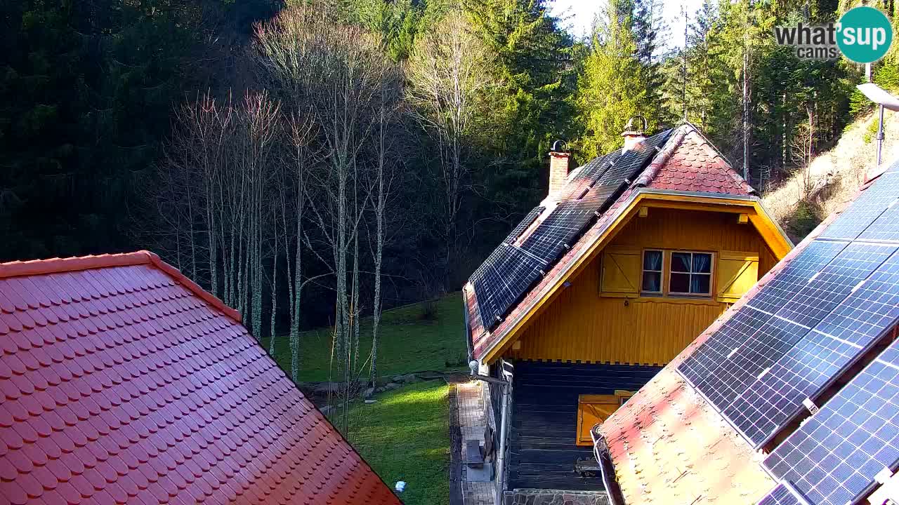Webcam Lukanja – Pohorje houses a Water village