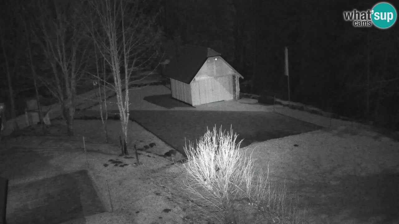 Webcam Lukanja – Pohorje houses a Water village