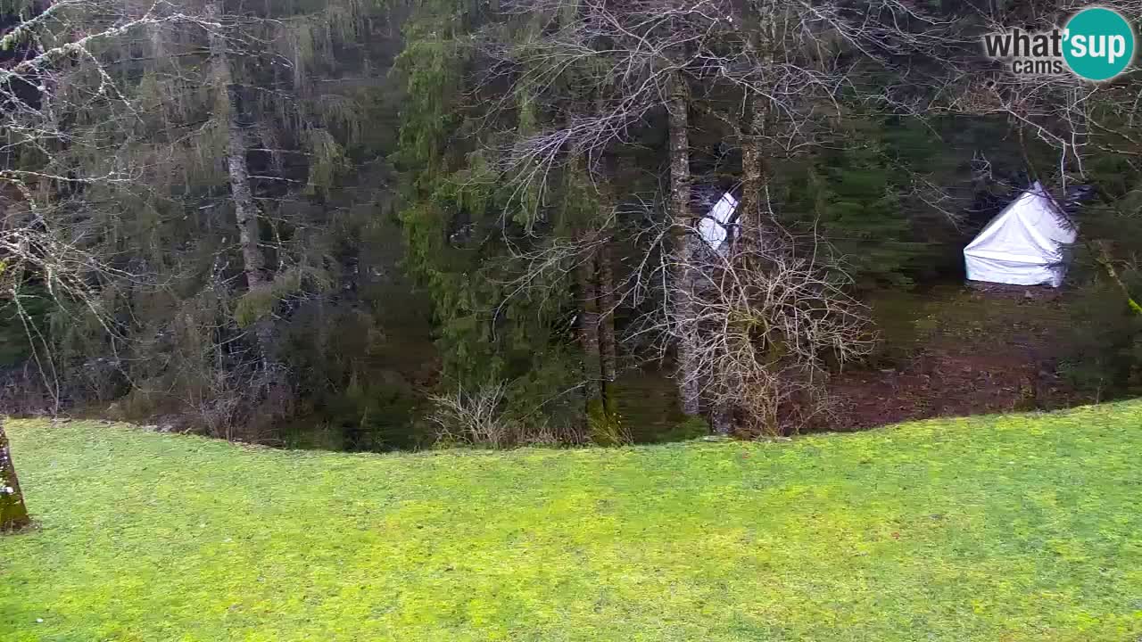 Webcam Lukanja – Water Village | Pohorje Houses