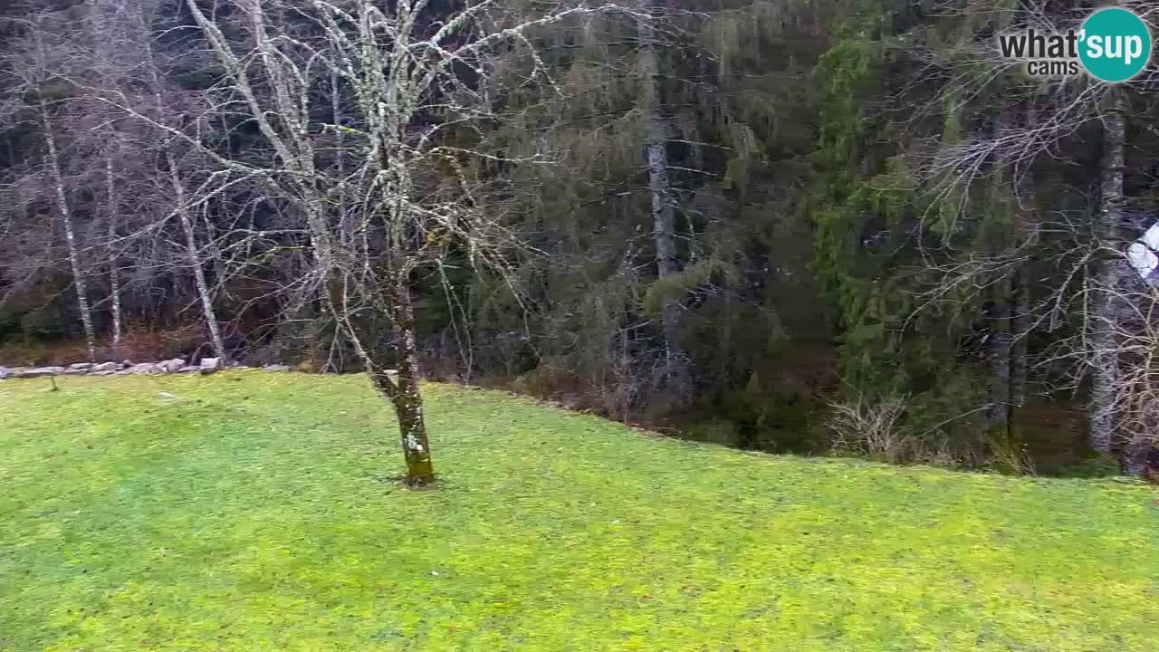 Webcam Lukanja – Pohorje houses a Water village