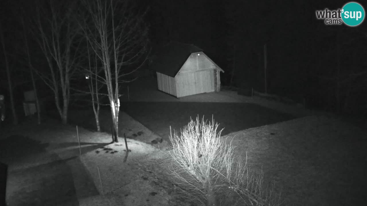 Web kamera Lukanja – Water Village | Pohorje Houses