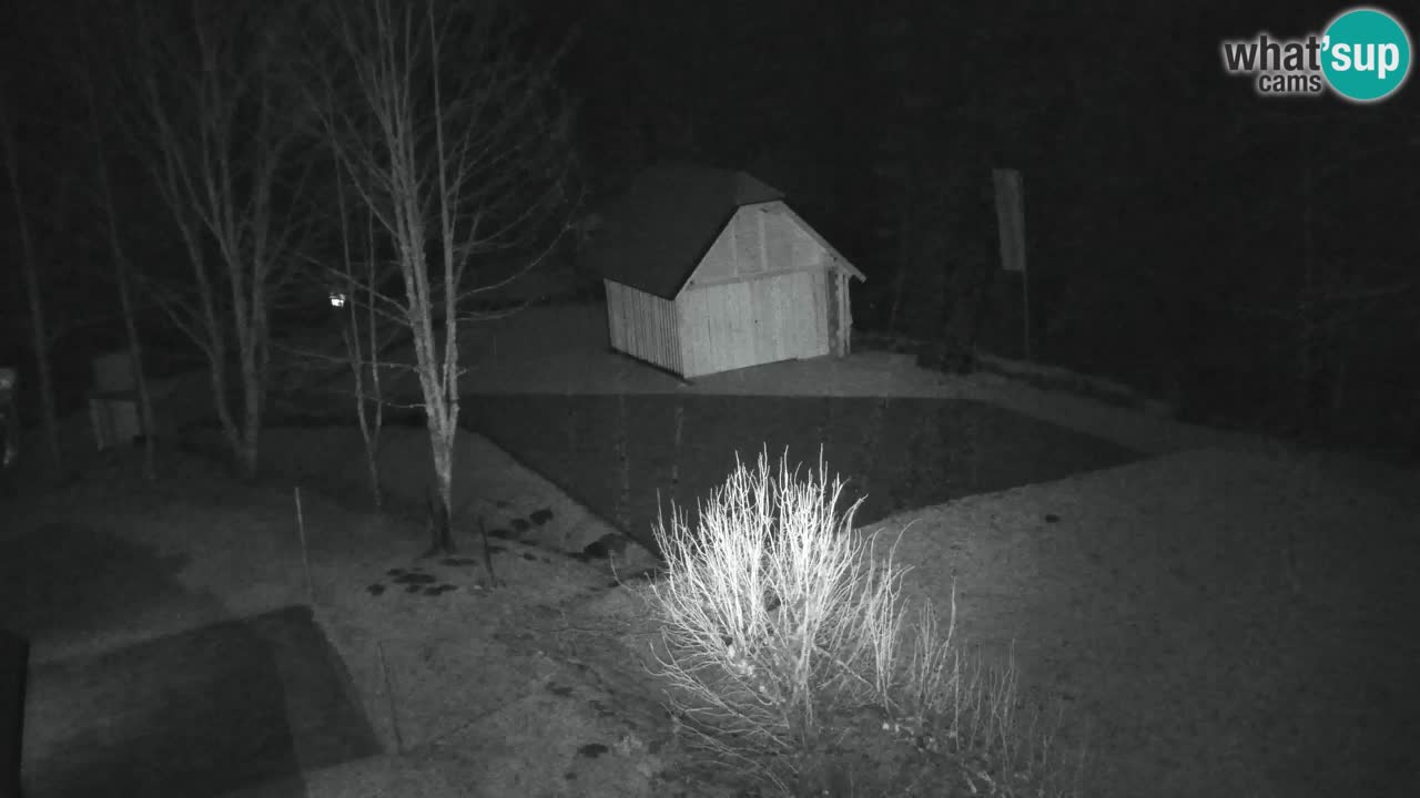 Webcam Lukanja – Pohorje houses a Water village