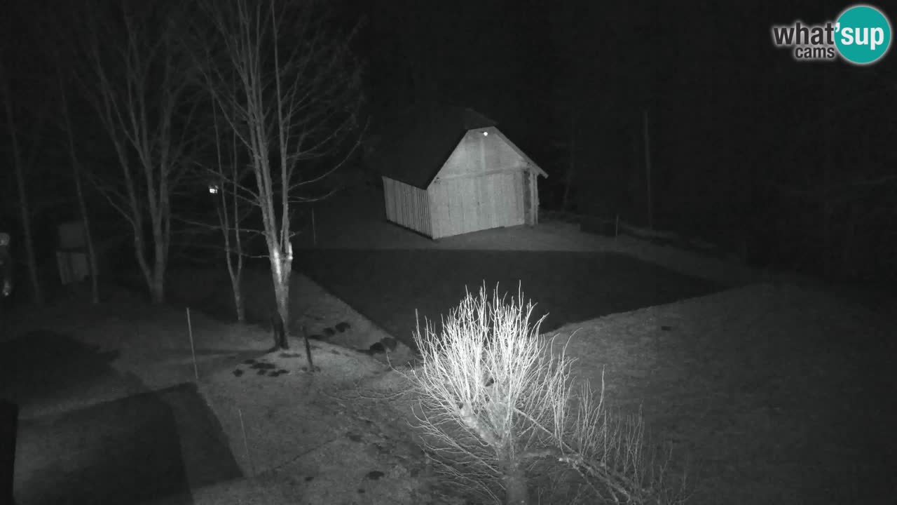 Webcam Lukanja – Water Village | Pohorje Houses