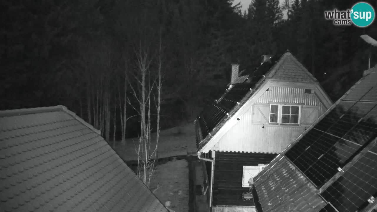 Webcam Lukanja – Pohorje houses a Water village
