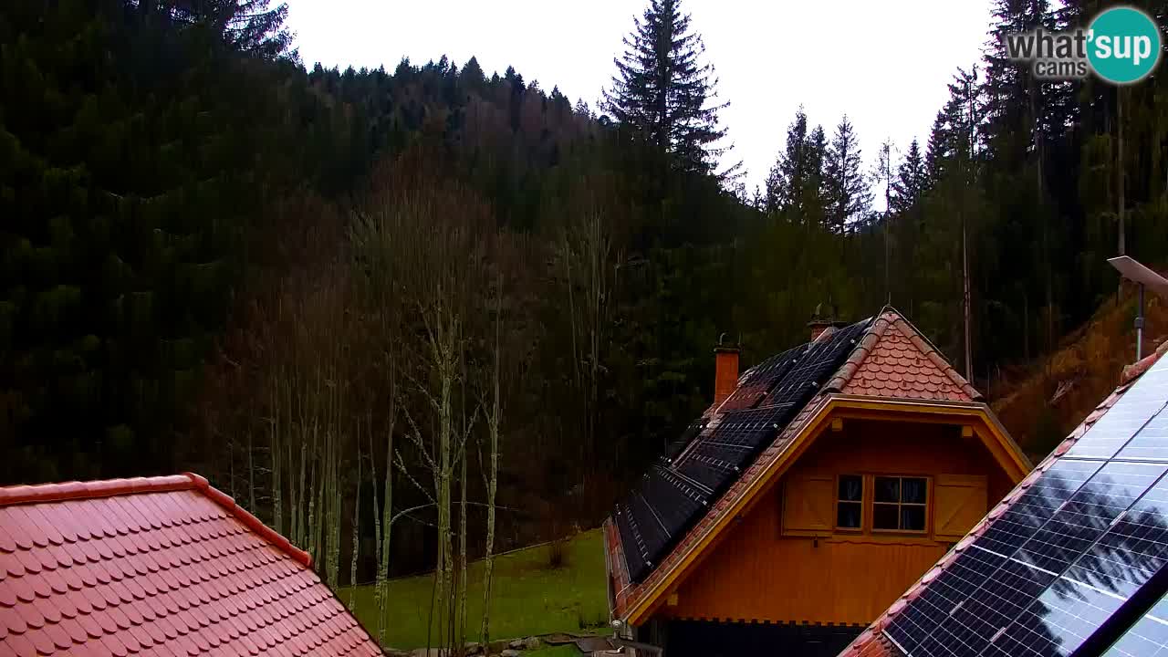 Webcam Lukanja – Water Village | Pohorje Houses