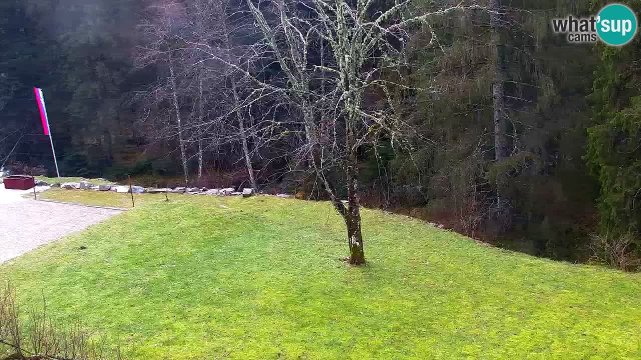 Spletna kamera Lukanja – Water Village | Pohorje Houses