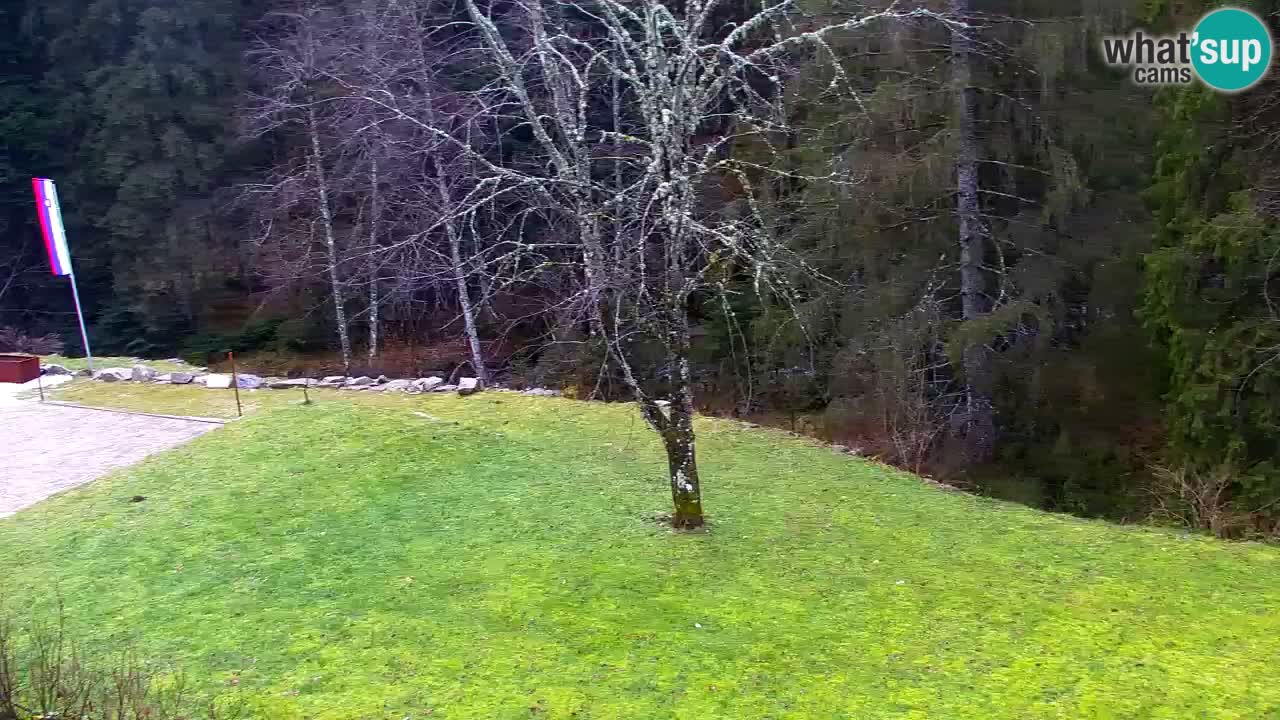 Webcam Lukanja – Pohorje houses a Water village