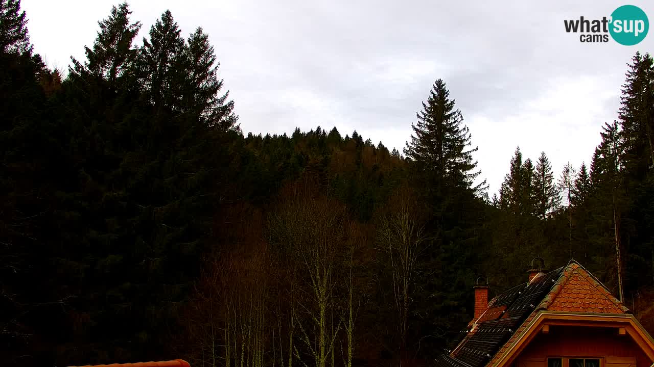 Webcam Lukanja – Water Village | Pohorje Houses