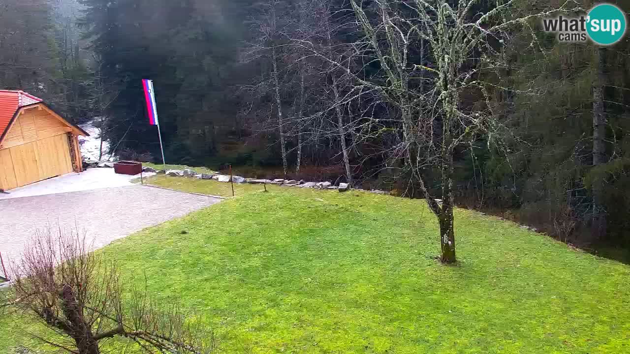 Webcam Lukanja – Water Village | Pohorje Houses