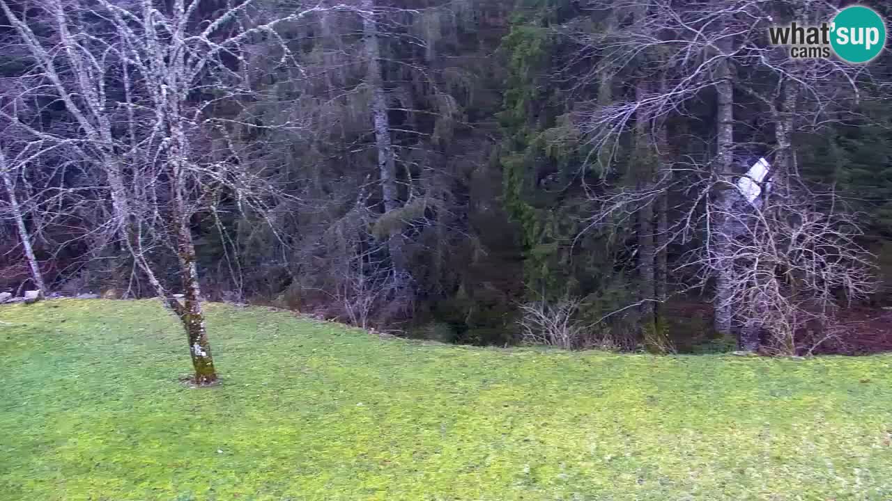 Webcam Lukanja – Water Village | Pohorje Houses