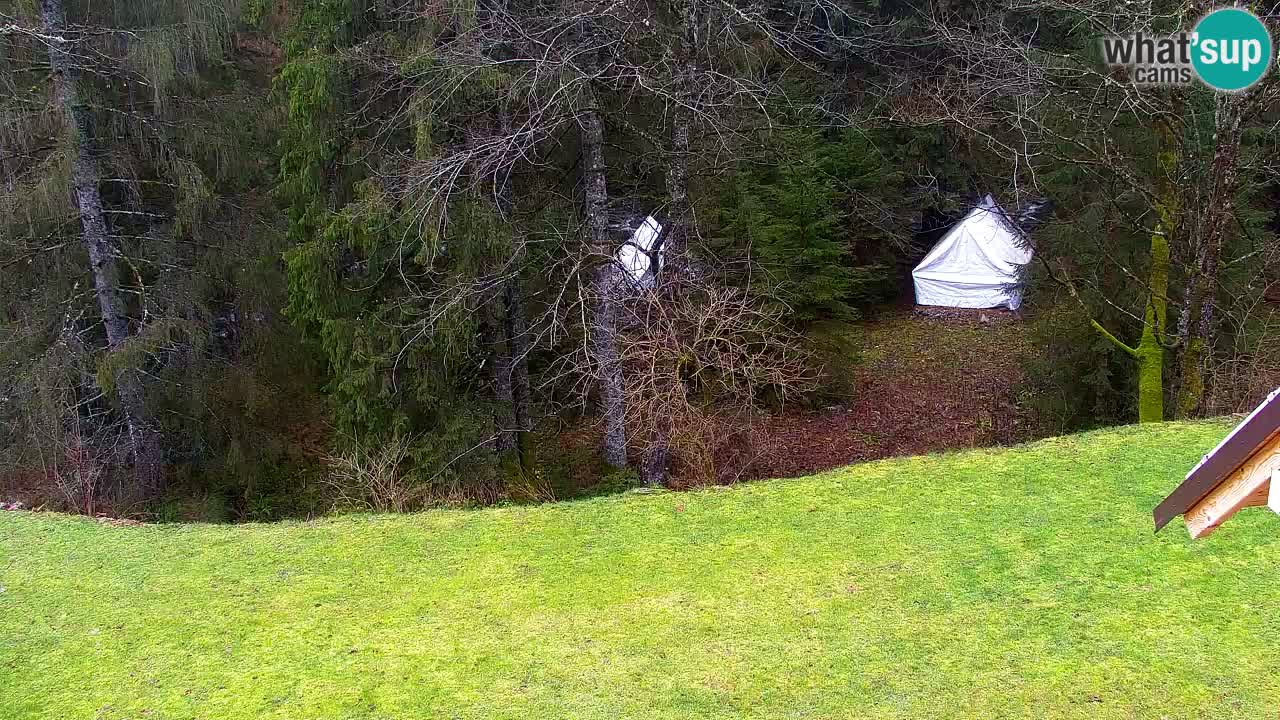 Webcam Lukanja – Water Village | Pohorje Houses