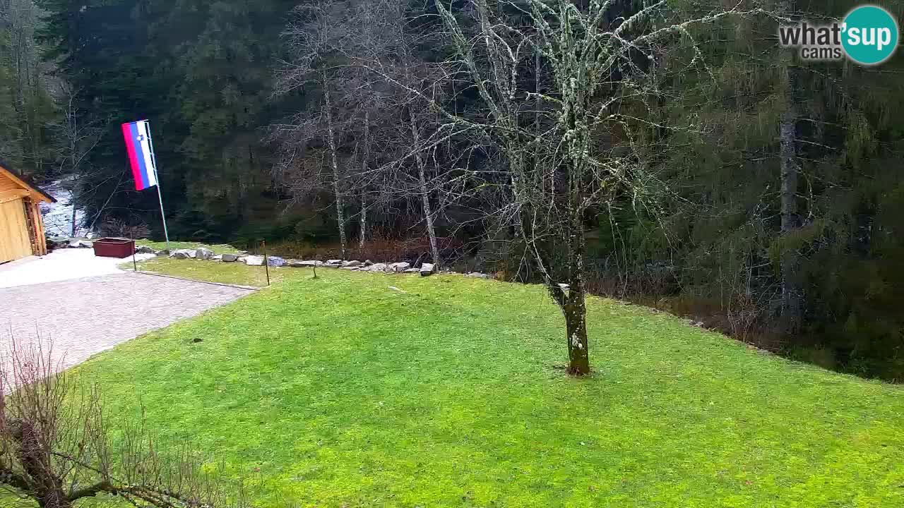 Webcam Lukanja – Water Village | Pohorje Houses