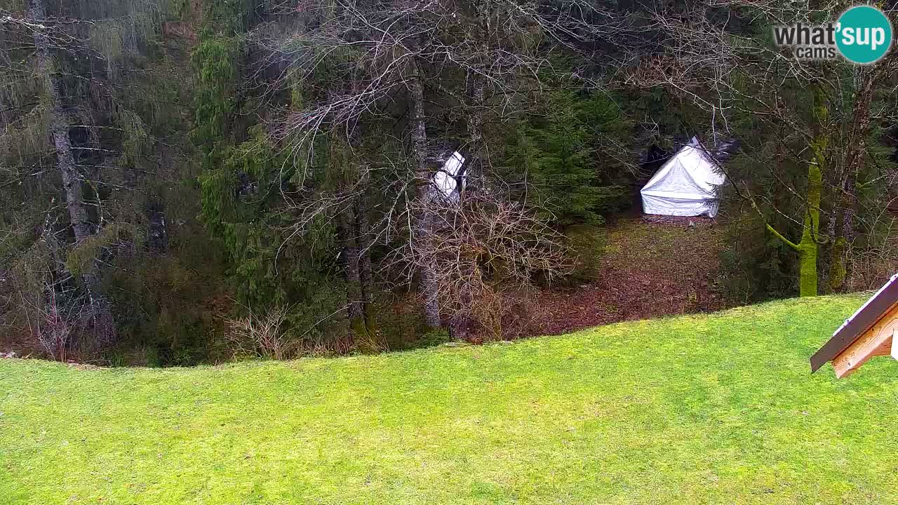 Webcam Lukanja – Water Village | Pohorje Houses