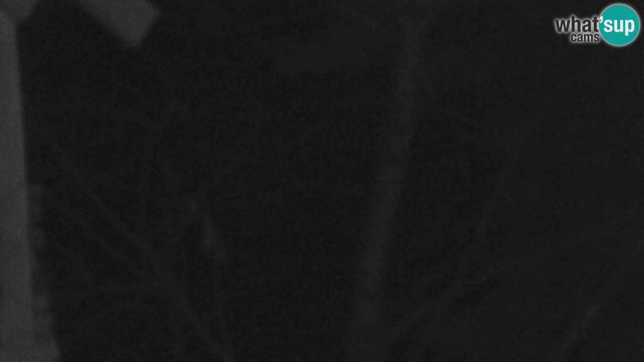 Webcam Lukanja – Water Village | Pohorje Houses