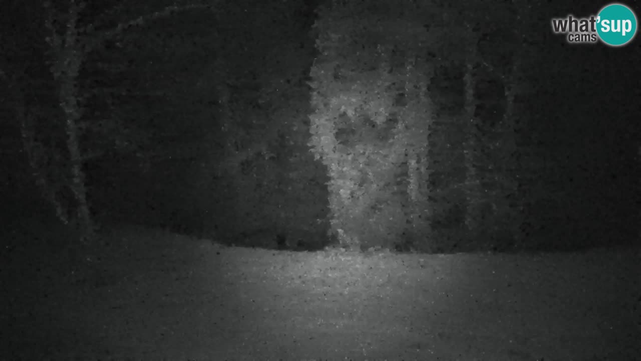 Webcam Lukanja – Water Village | Pohorje Houses