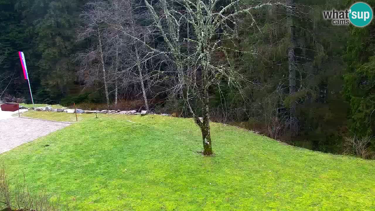 Webcam Lukanja – Water Village | Pohorje Houses