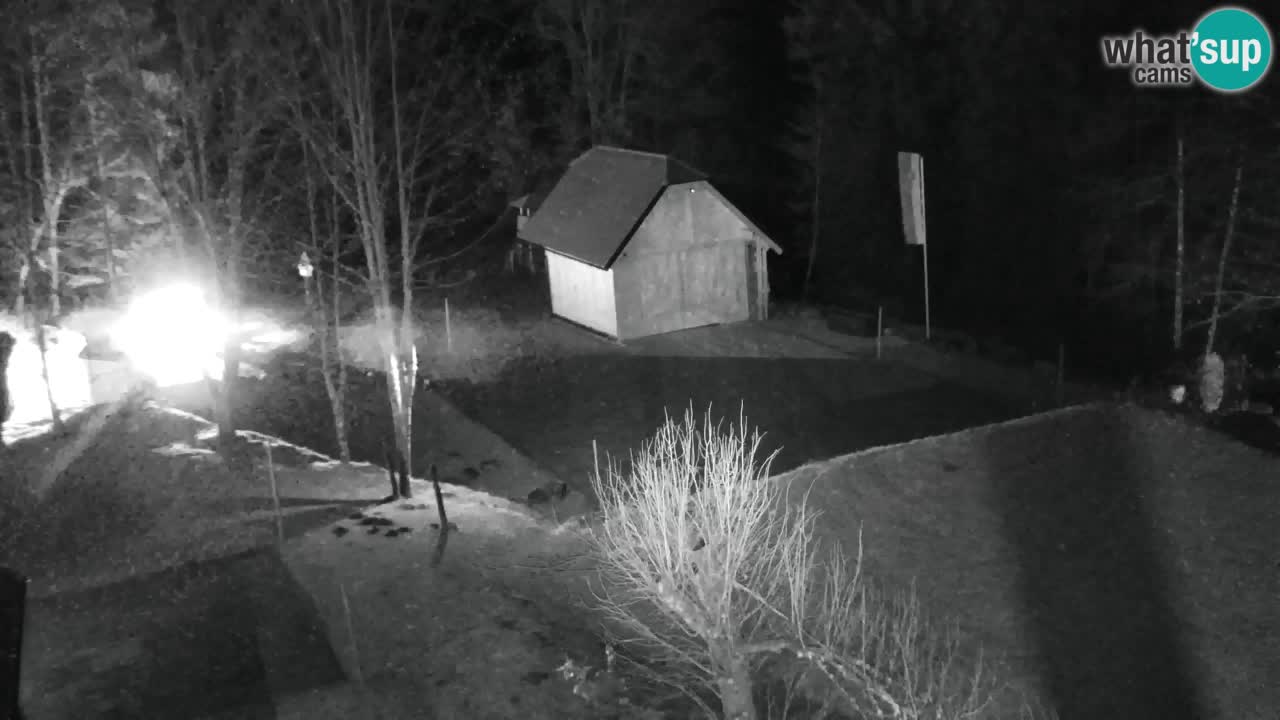 Web kamera Lukanja – Water Village | Pohorje Houses