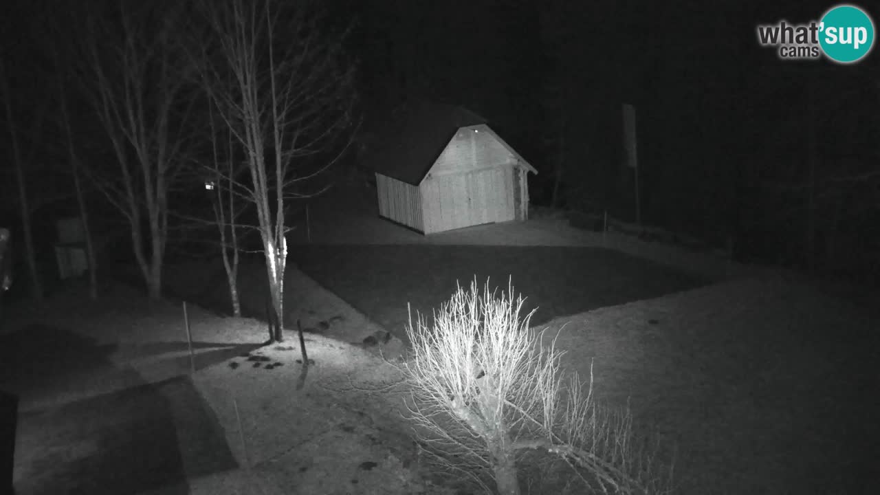 Webcam Lukanja – Pohorje houses a Water village