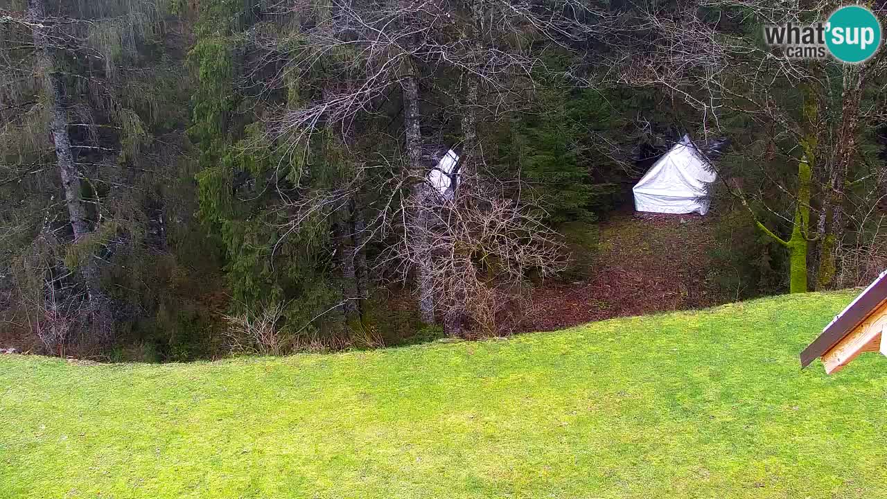 Webcam Lukanja – Water Village | Pohorje Houses