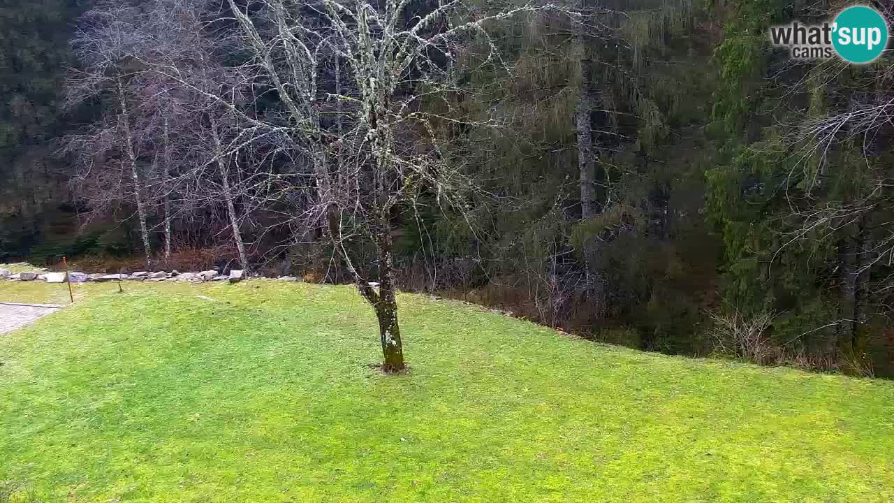 Spletna kamera Lukanja – Water Village | Pohorje Houses