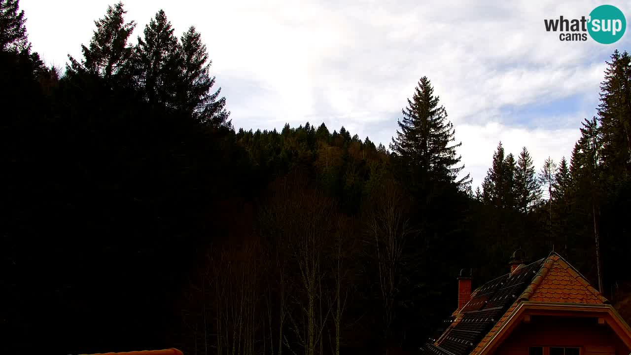 Webcam Lukanja – Water Village | Pohorje Houses