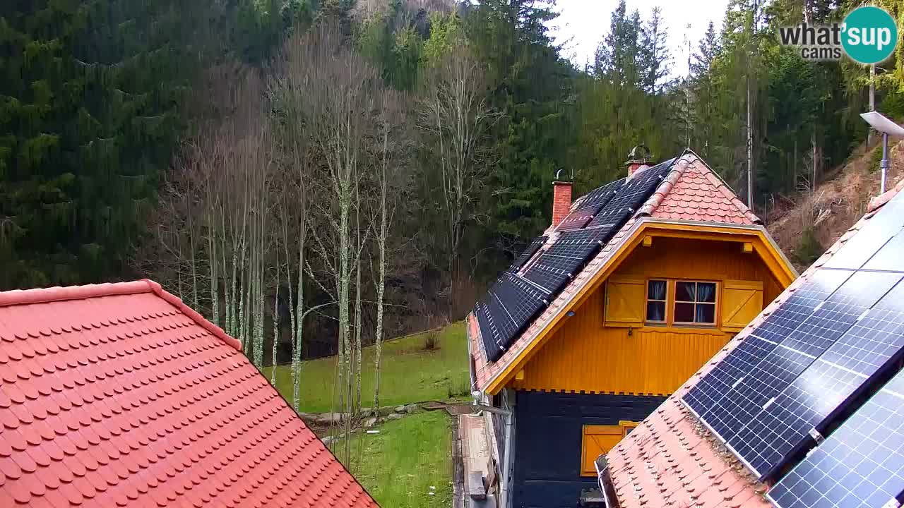 Webcam Lukanja – Water Village | Pohorje Houses