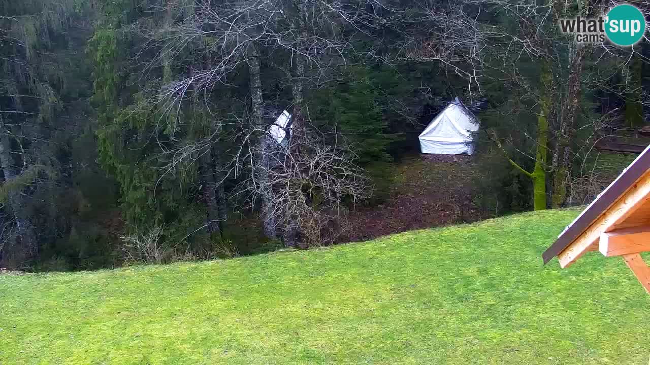 Webcam Lukanja – Water Village | Pohorje Houses