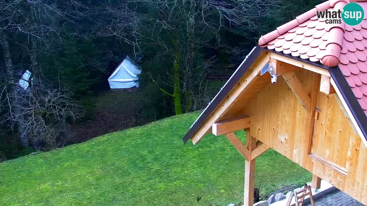 Web kamera Lukanja – Water Village | Pohorje Houses