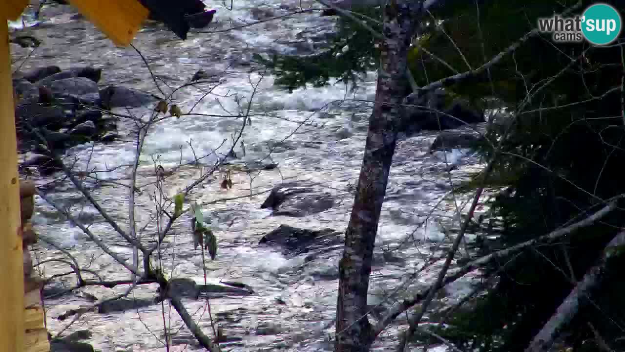 Webcam Lukanja – Water Village | Pohorje Houses