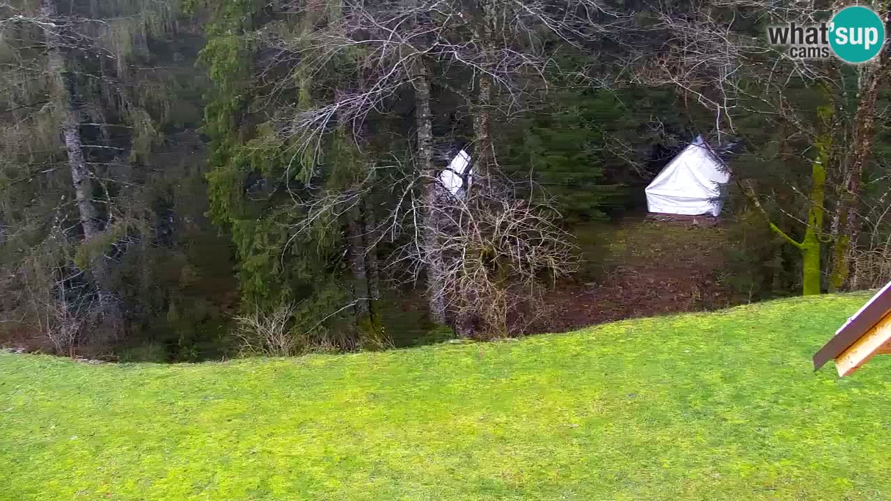 Webcam Lukanja – Pohorje houses a Water village