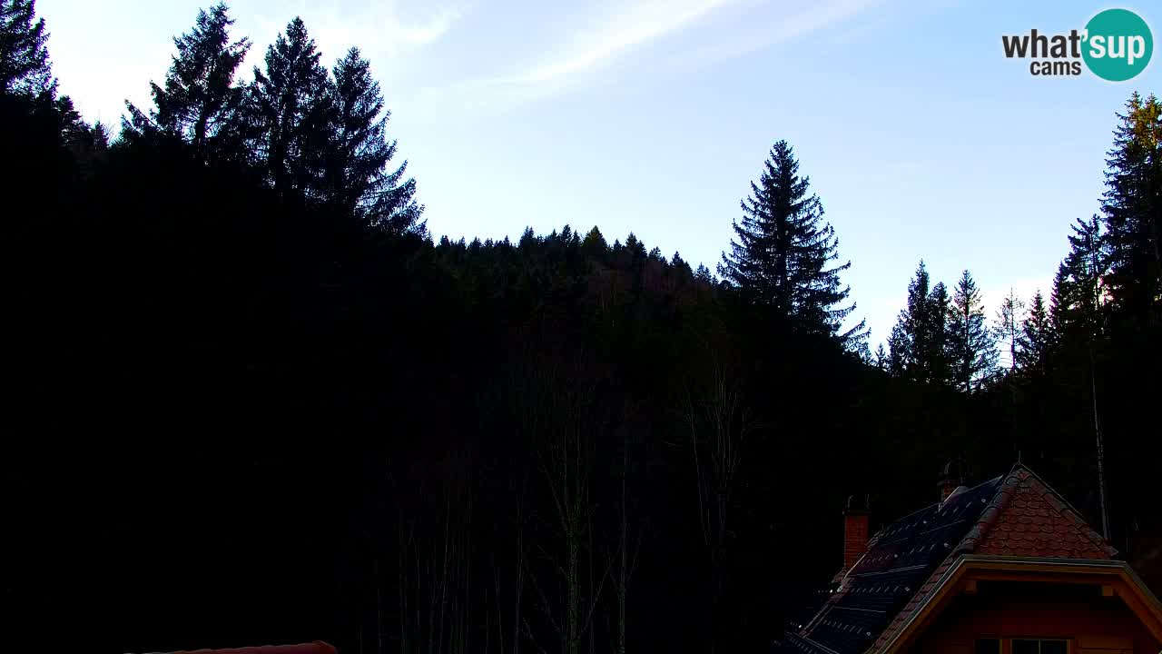 Spletna kamera Lukanja – Water Village | Pohorje Houses