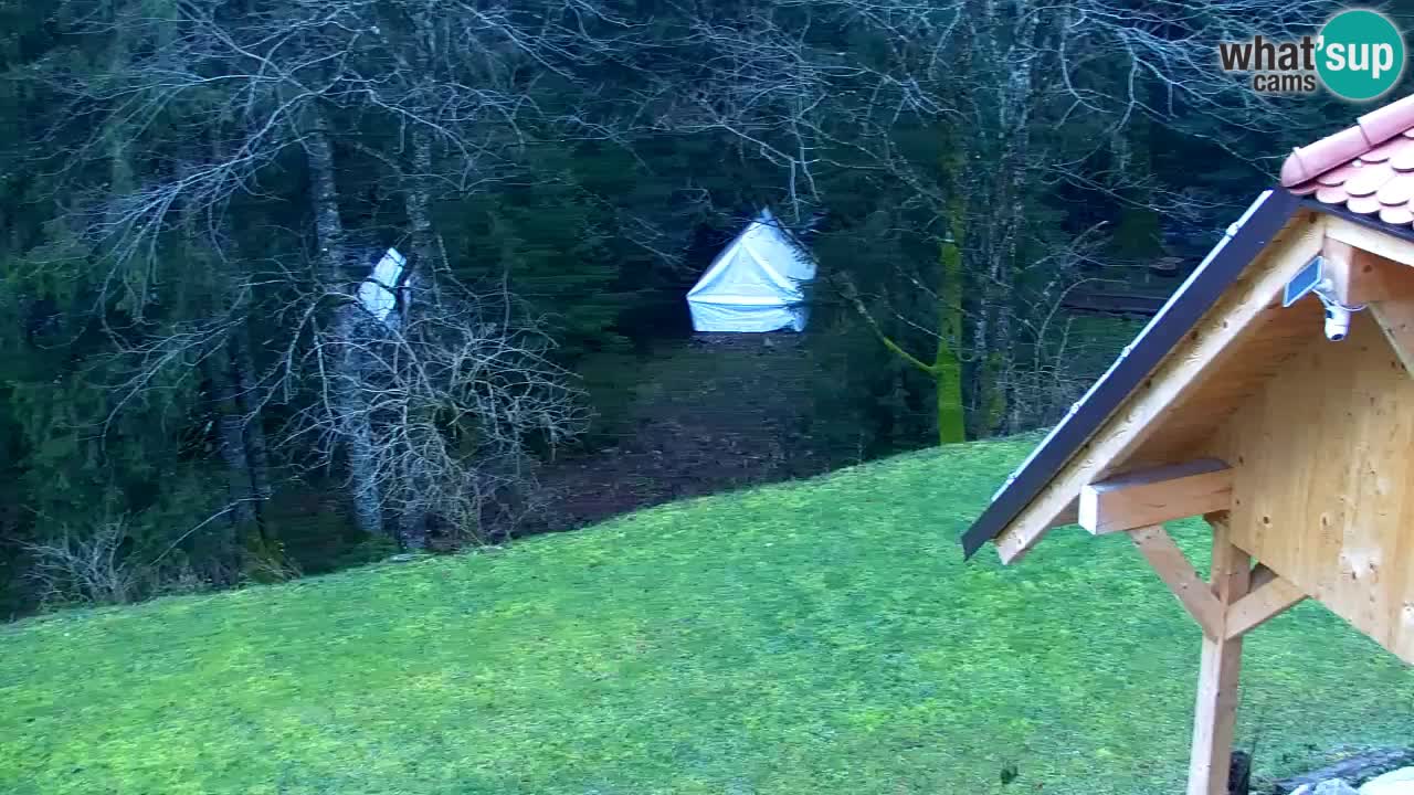 Webcam Lukanja – Water Village | Pohorje Houses