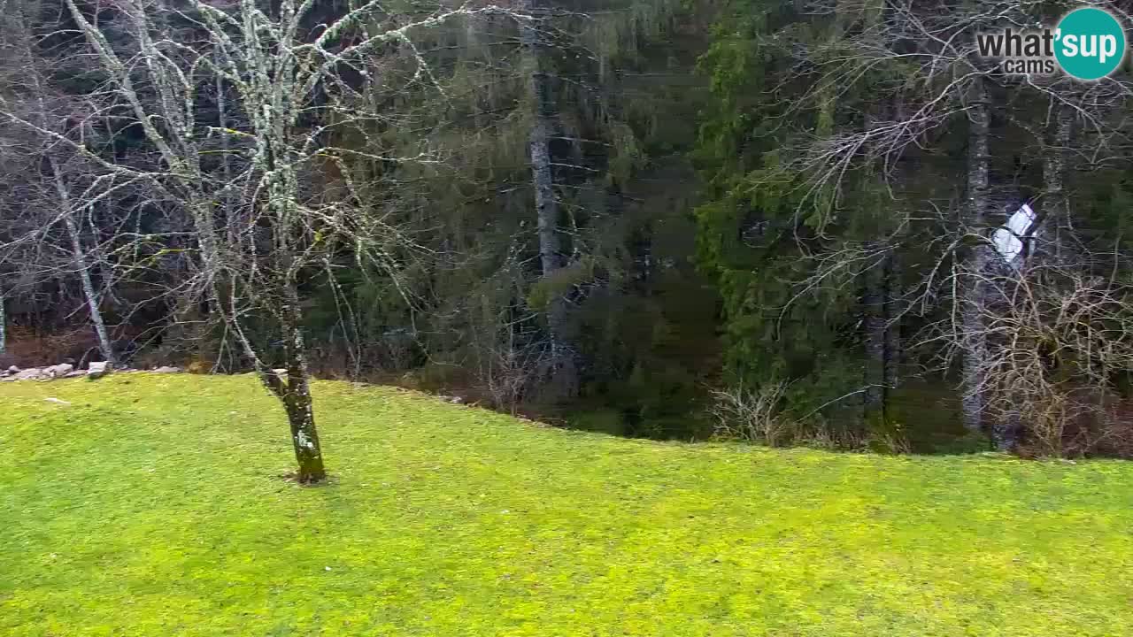 Spletna kamera Lukanja – Water Village | Pohorje Houses