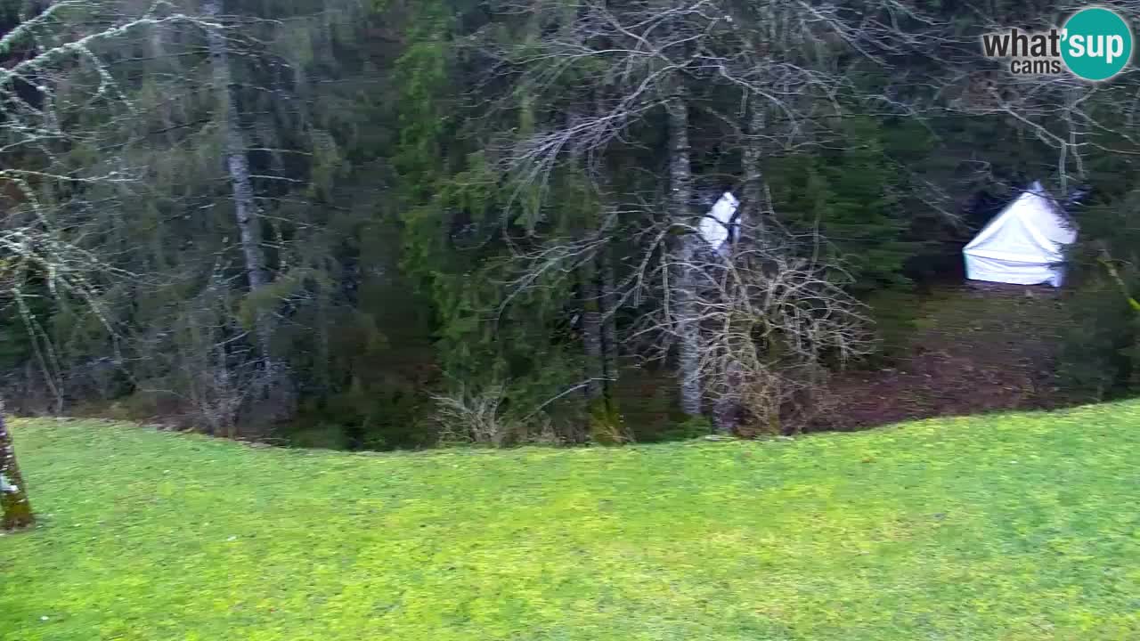 Webcam Lukanja – Pohorje houses a Water village