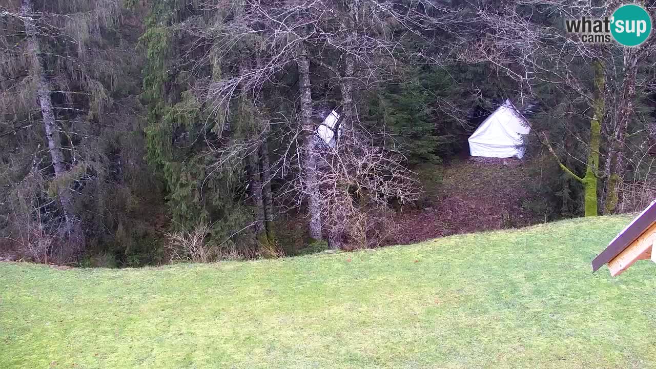 Webcam Lukanja – Water Village | Pohorje Houses