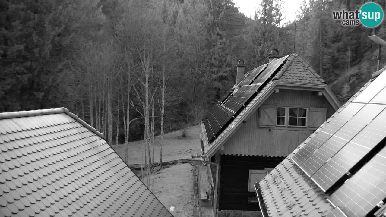 Spletna kamera Lukanja – Water Village | Pohorje Houses