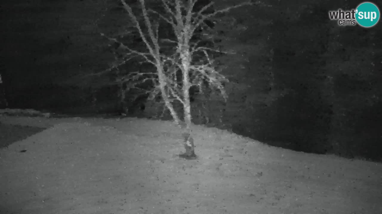 Webcam Lukanja – Water Village | Pohorje Houses