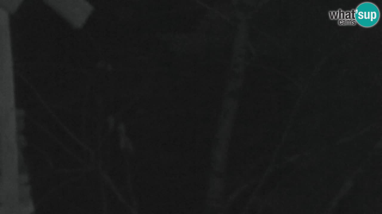 Spletna kamera Lukanja – Water Village | Pohorje Houses